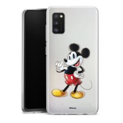 New Carry Case Hülle Transparent