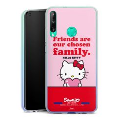 Carry Case Hülle Transparent ohne Band