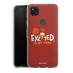 Carry Case Single Transparent