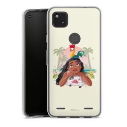 Carry Case Single Transparent