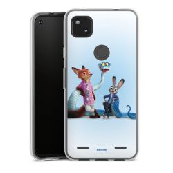 Carry Case Single Transparent