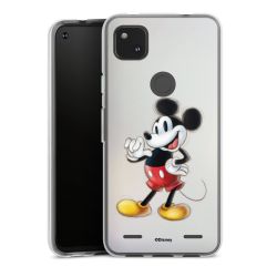 New Carry Case Hülle Transparent