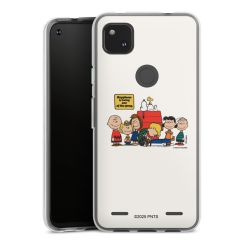 Carry Case Single Transparent