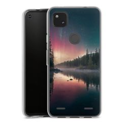 Carry Case Single Transparent