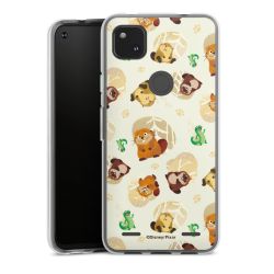 Carry Case Single Transparent