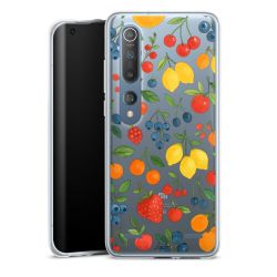 Carry Case Single Transparent