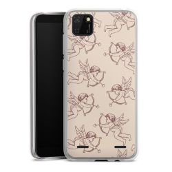 Carry Case Single Transparent