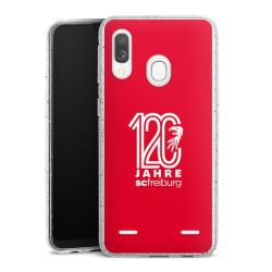 Carry Case Hülle Transparent/glitter ohne Band