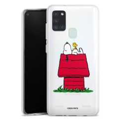 Carry Case Single Transparent