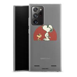 Carry Case Single Transparent