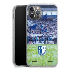 Carry Case Hülle Transparent/glitter ohne Band