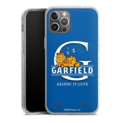 Carry Case Hülle Transparent/glitter ohne Band