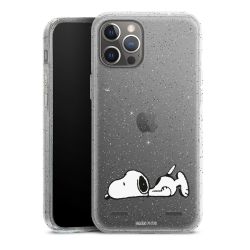 Carry Case Hülle Transparent/glitter ohne Band