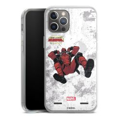 New Carry Case Hülle Transparent