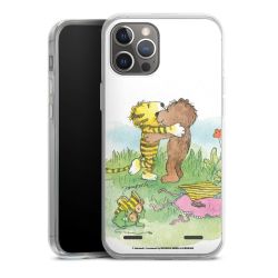 Carry Case Single Transparent