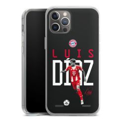 Carry Case Single Transparent