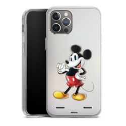 New Carry Case Hülle Transparent