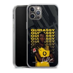 Carry Case Single Transparent