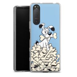 Carry Case Hülle Transparent ohne Band