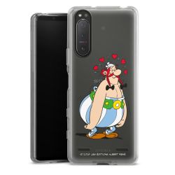 Carry Case Hülle Transparent ohne Band