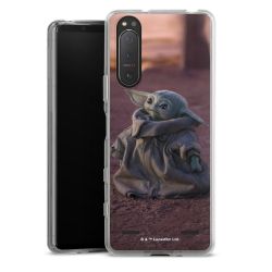 Carry Case Hülle Transparent ohne Band