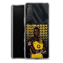 Carry Case Single Transparent