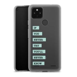 Carry Case Single Transparent