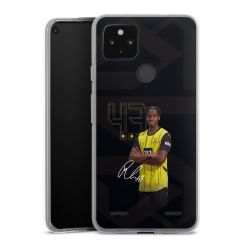 Carry Case Single Transparent