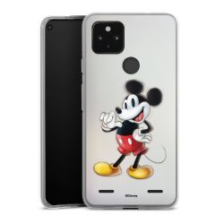 New Carry Case Hülle Transparent