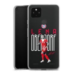 Carry Case Hülle Transparent ohne Band