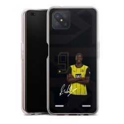 New Carry Case Hülle Transparent