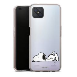 Carry Case Single Transparent