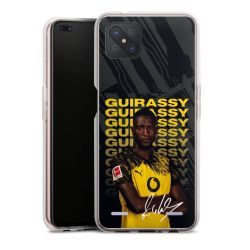 New Carry Case Hülle Transparent