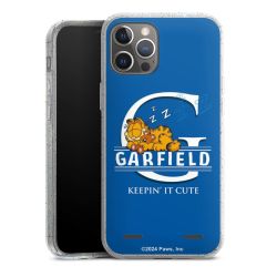 Carry Case Hülle Transparent/glitter ohne Band