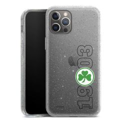 Carry Case Hülle Transparent/glitter ohne Band