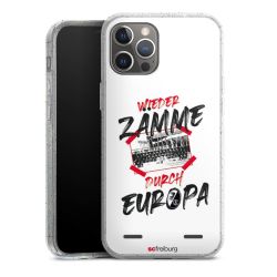 Carry Case Hülle Transparent/glitter ohne Band