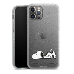 Carry Case Hülle Transparent/glitter ohne Band