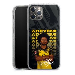 Carry Case Hülle Transparent/glitter ohne Band