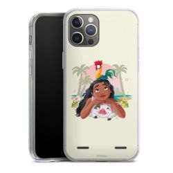 New Carry Case Hülle Transparent