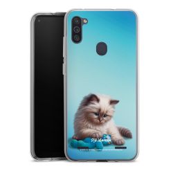 Carry Case Single Transparent