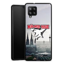 Carry Case Hülle Schwarz ohne Band