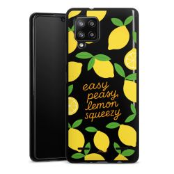 Carry Case Single Black