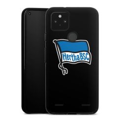 Carry Case Hülle Schwarz ohne Band