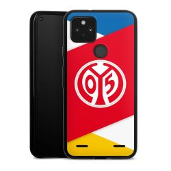 Carry Case Hülle Schwarz ohne Band