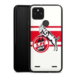 Carry Case Hülle Schwarz ohne Band