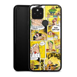 Carry Case Hülle Schwarz ohne Band