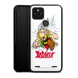 Carry Case Hülle Schwarz ohne Band