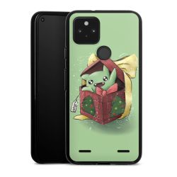 Carry Case Hülle Schwarz ohne Band