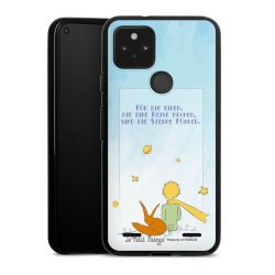 Carry Case Hülle Schwarz ohne Band