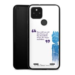 Carry Case Hülle Schwarz ohne Band